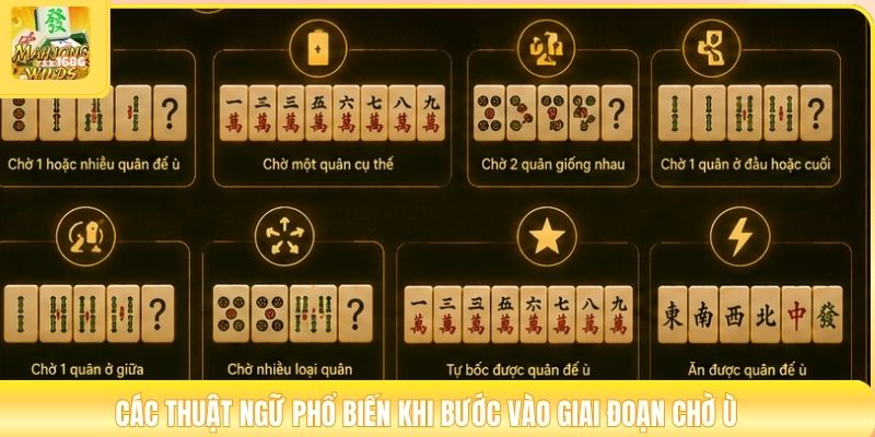 Các thuật ngữ phổ biến khi bước vào giai đoạn chờ ù