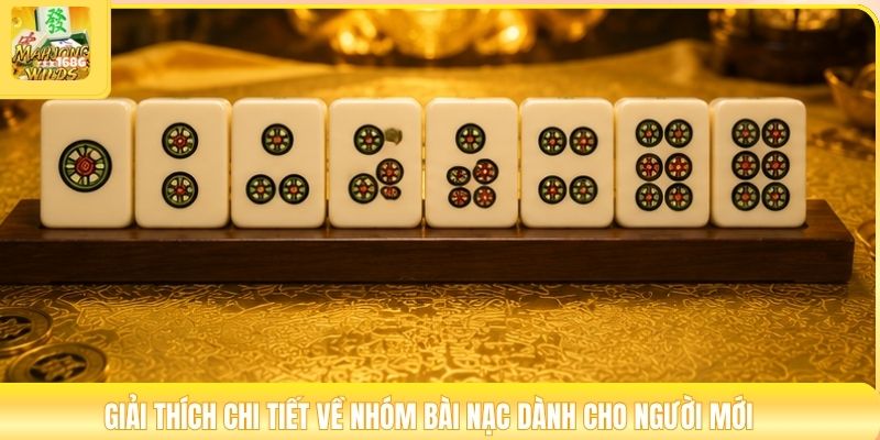 Giải thích chi tiết về nhóm bài Nạc dành cho người mới