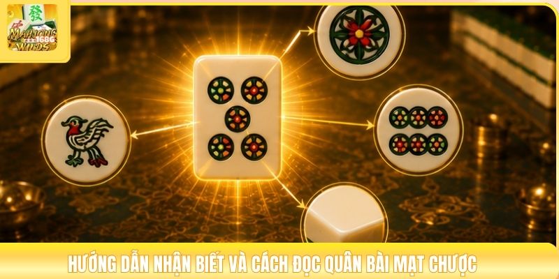 Hướng dẫn phân biệt quân Nạc qua đặc điểm hình ảnh